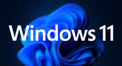 Teardown for Windows 11